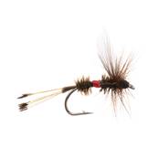 Turrall Royal Coachman Dry Winged Trout Fly