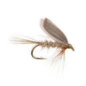 Turrall Gold Rib Hares Ear Wet Winged Trout Fly